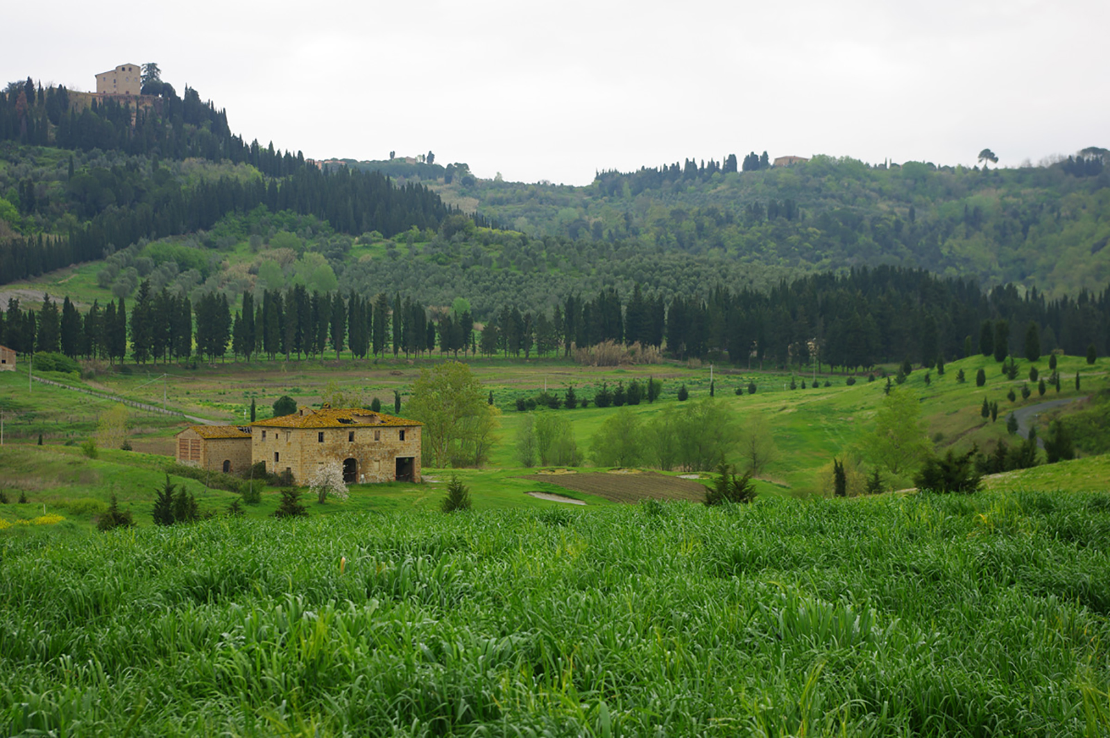 Scopri di più sull'articolo 2010 Toscana Resort Castelfalfi