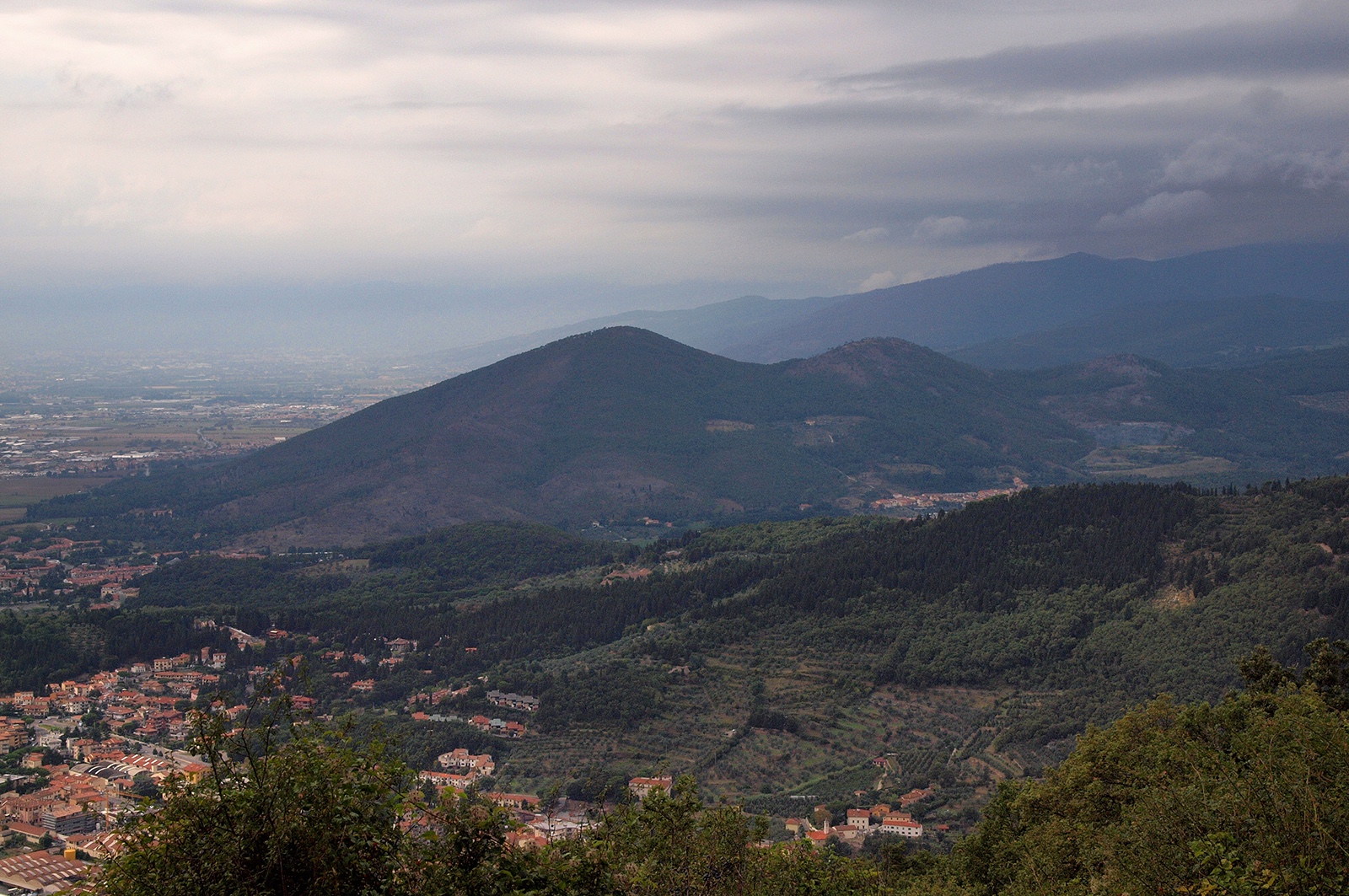 Read more about the article 1998 Protected Natural Area of the Monteferrato