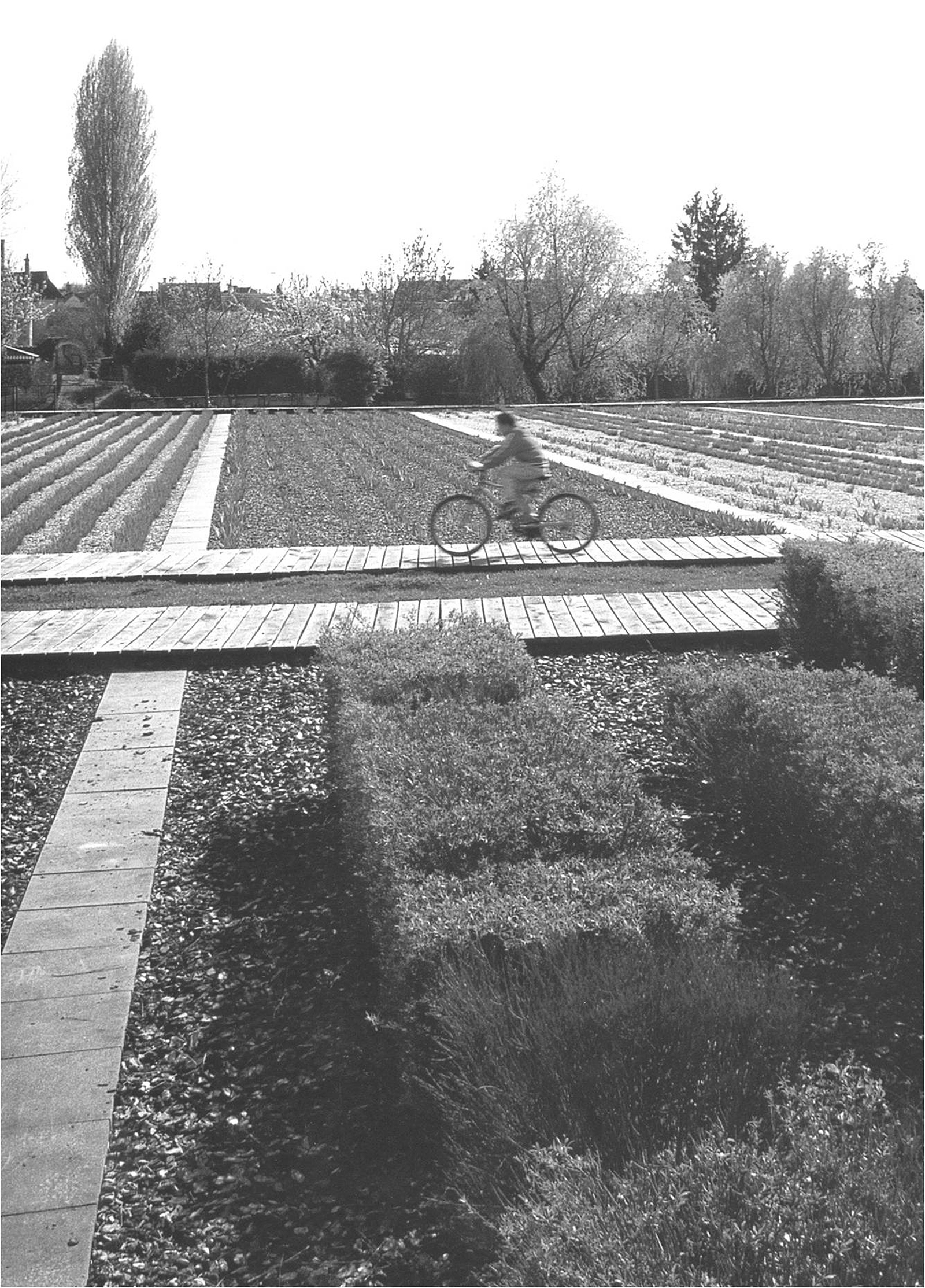 Scopri di più sull'articolo 2002 Parco della Piana – Firenze