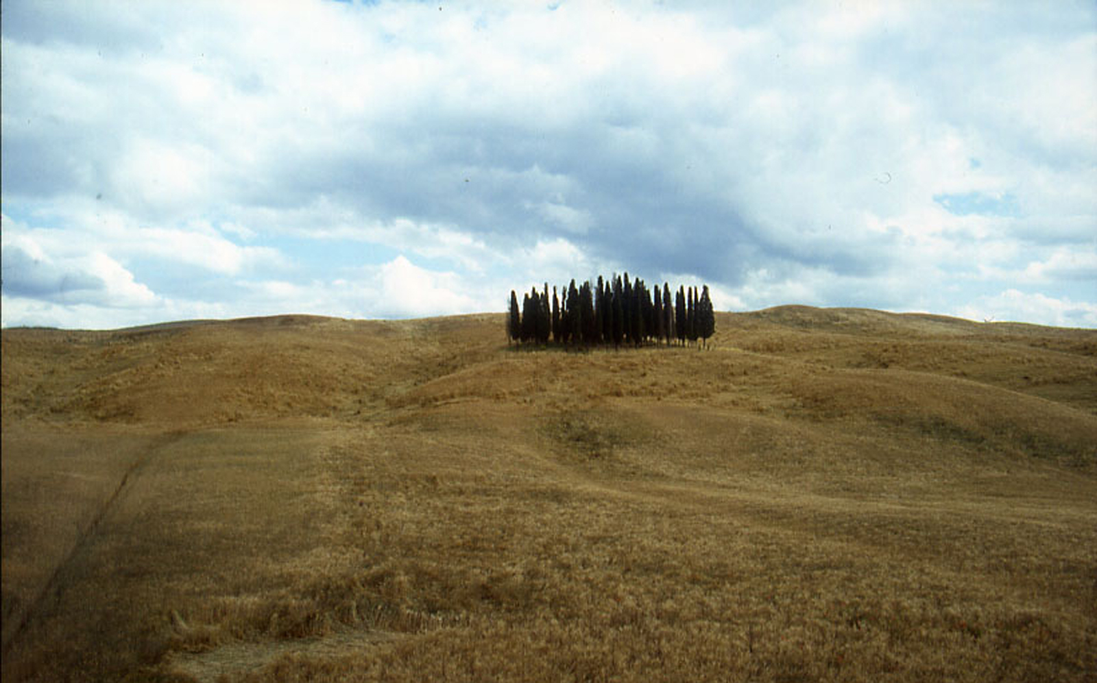 Scopri di più sull'articolo 2000  Paesaggio e Geotermia – Studio-valutazione paesistico-territoriale Monte Amiata